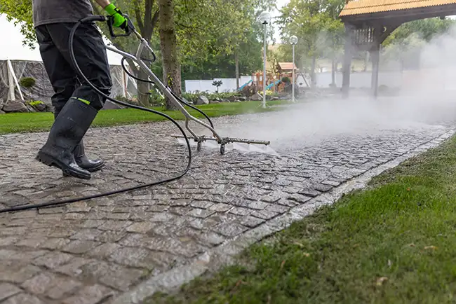 Driveway and Cleaning