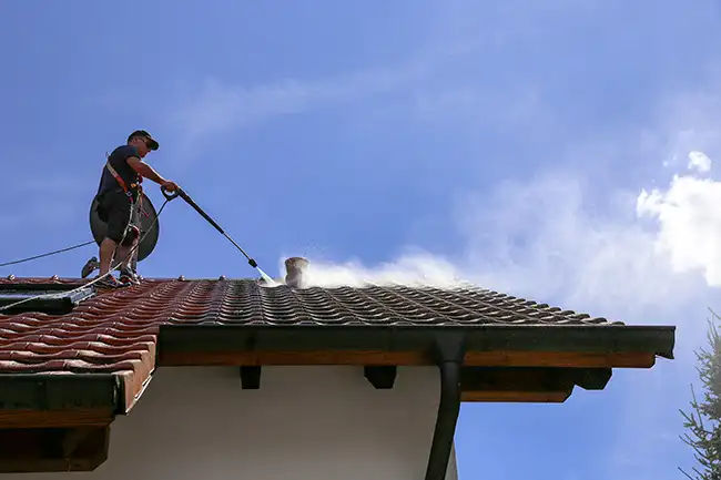 Roof cleaning