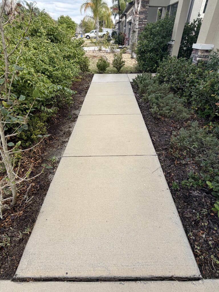 After Pressure Wash