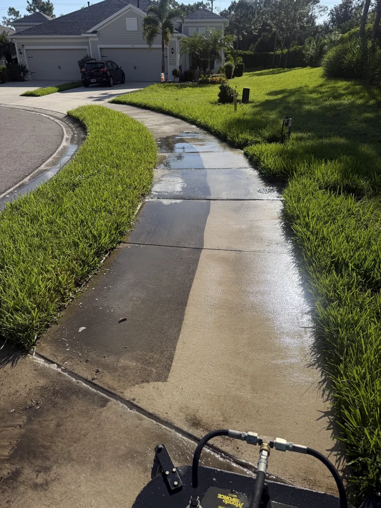 Pressure Washing